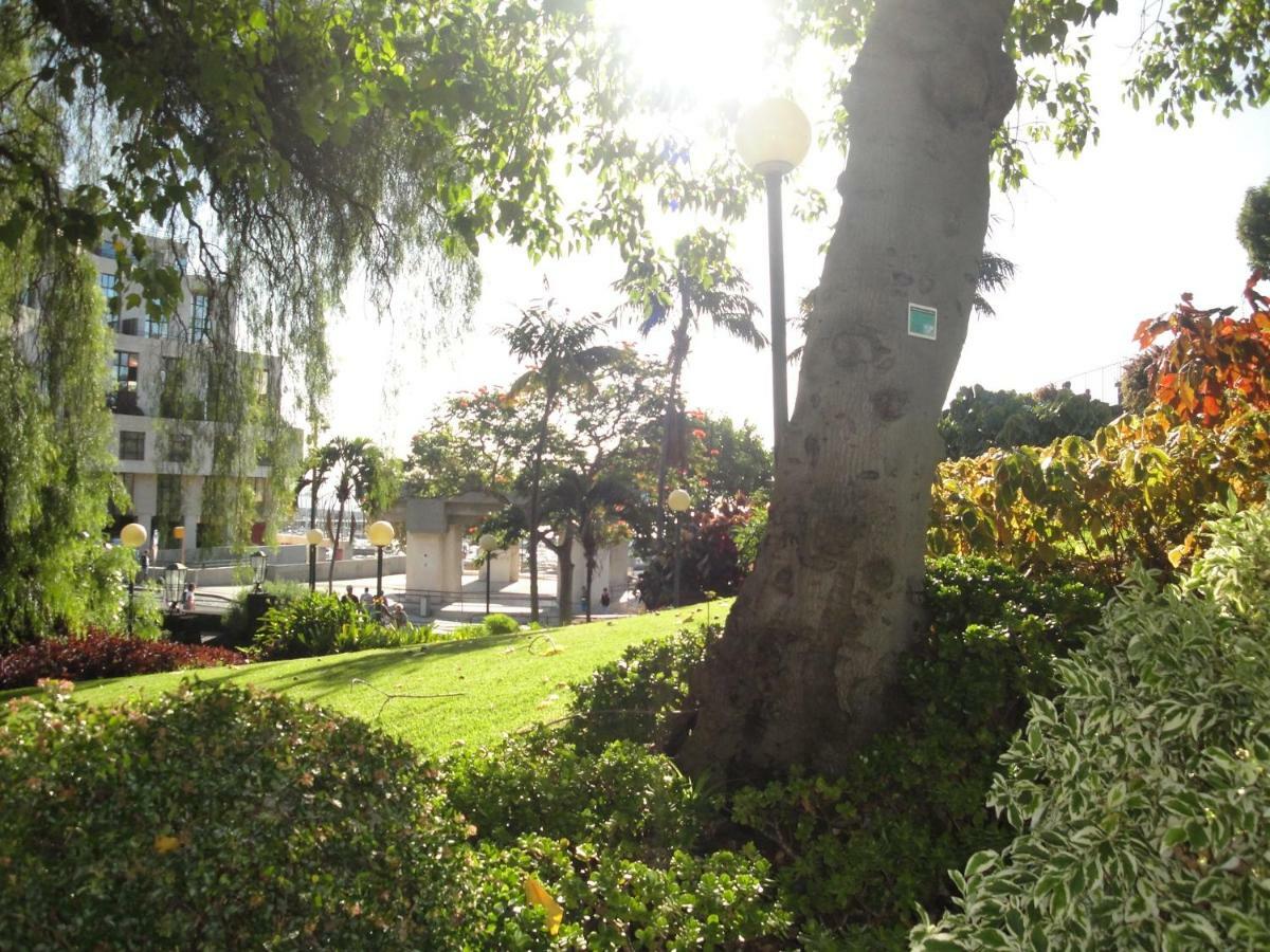 فيلا Violeta House فونشال المظهر الخارجي الصورة
